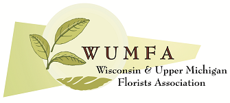 2021 Virtual WUMFA Annual Convention Logo